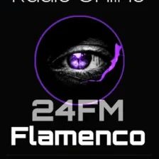 58902_24FM Flamenco.png